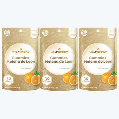 VitaEnergy Suplemento Frasco 90 gomitas Gummies Melena de León 90 Unidades  VitaEnergy – FASMED.cl